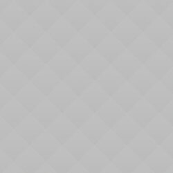 Coalition Negotiations